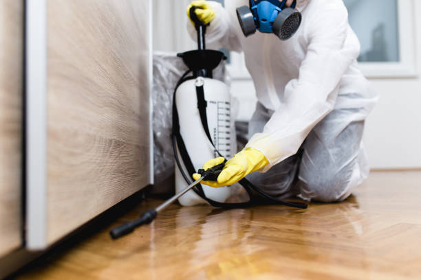 Best Cockroach Control Services  in Wichita, KS
