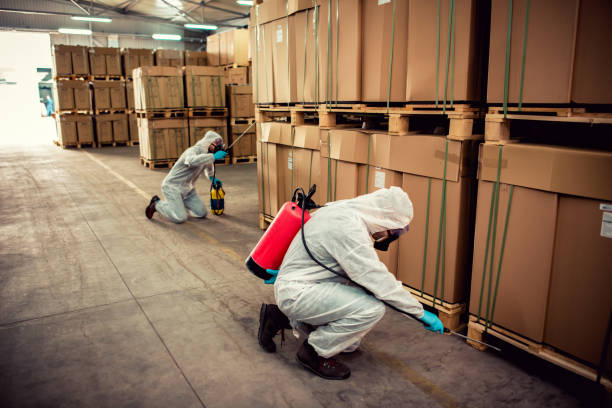 Best Pest Prevention Services  in Wichita, KS