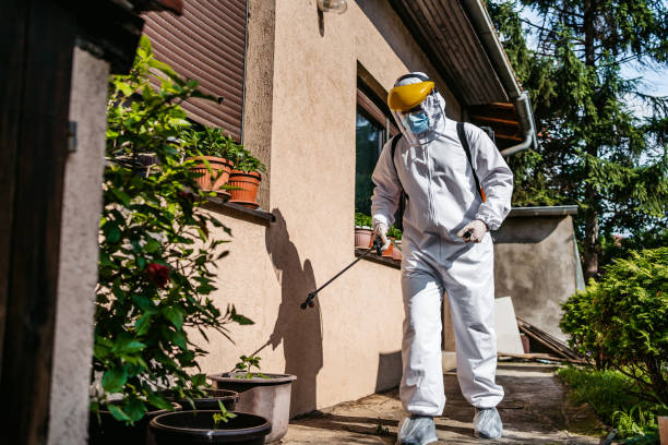 Best Best Pest Control Companies  in Wichita, KS