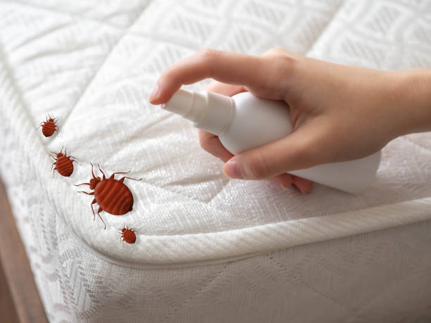 Best Residential Pest Control  in Wichita, KS