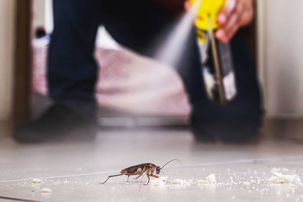 Trusted Wichita, KS Pest Control Experts